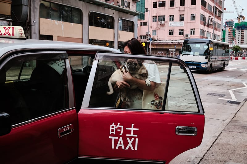 Urban Co-Pilot