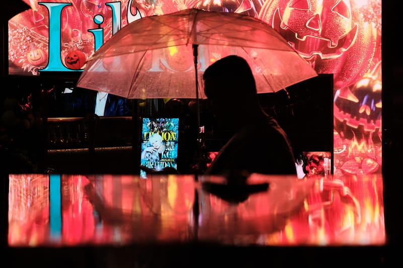 The Neon Canopy